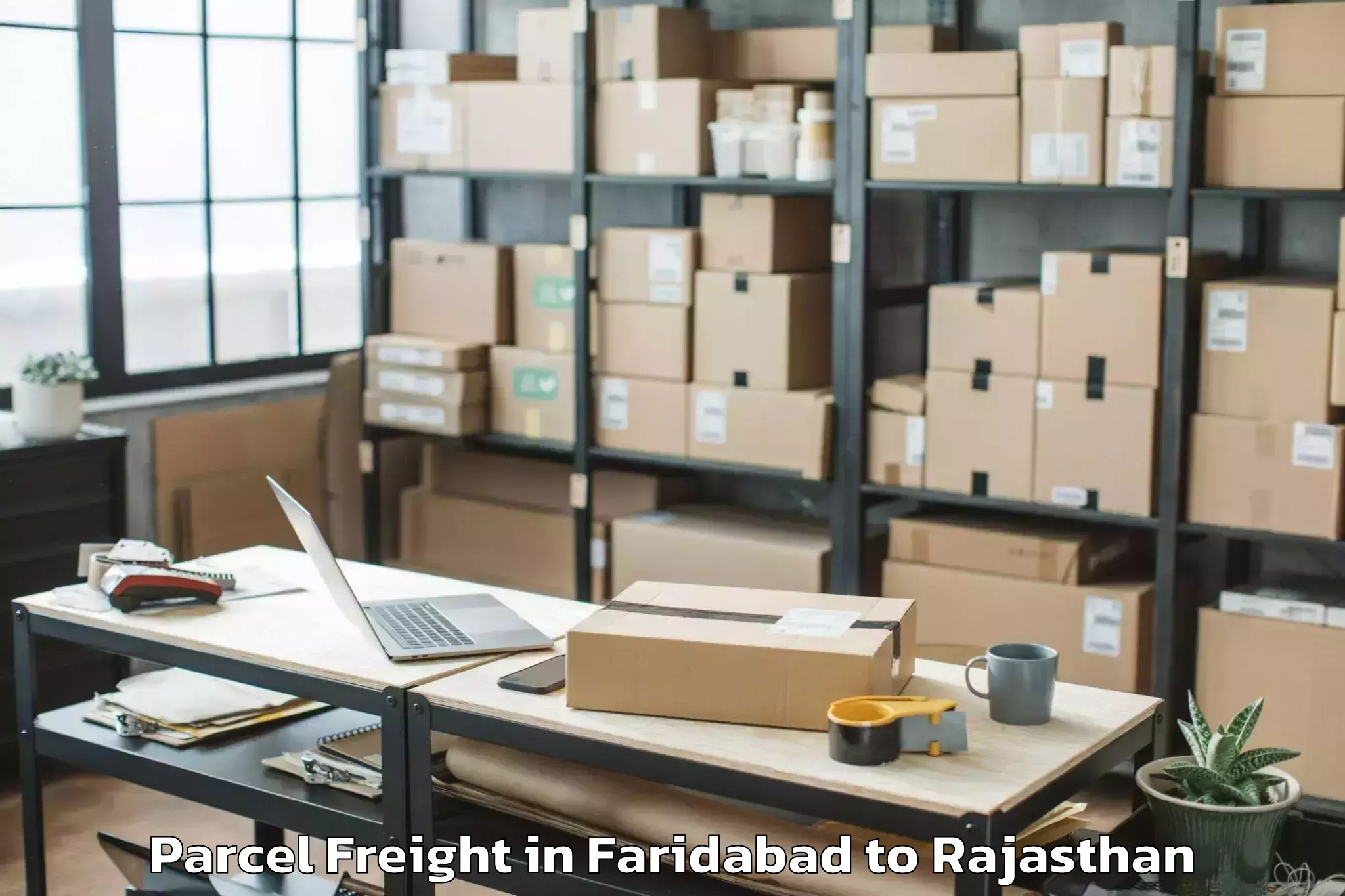 Easy Faridabad to Sri Dungargarh Parcel Freight Booking